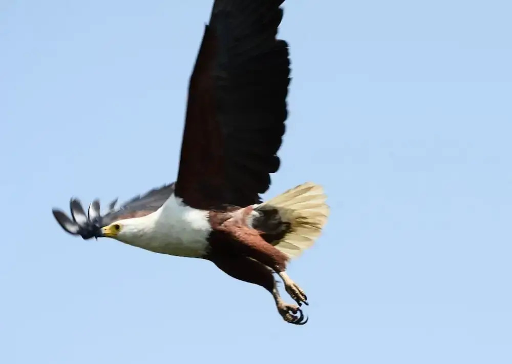 Suleima Lodge — фото 6