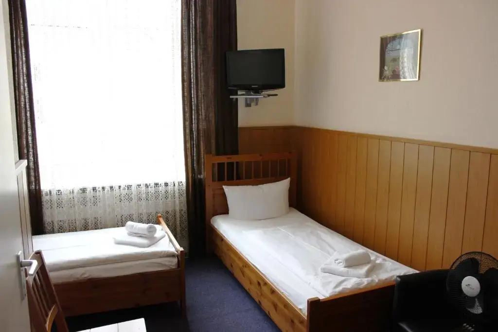 Standard Double room (twin beds)