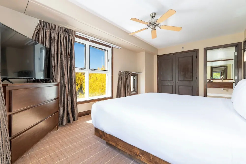 1 Bedroom Suite