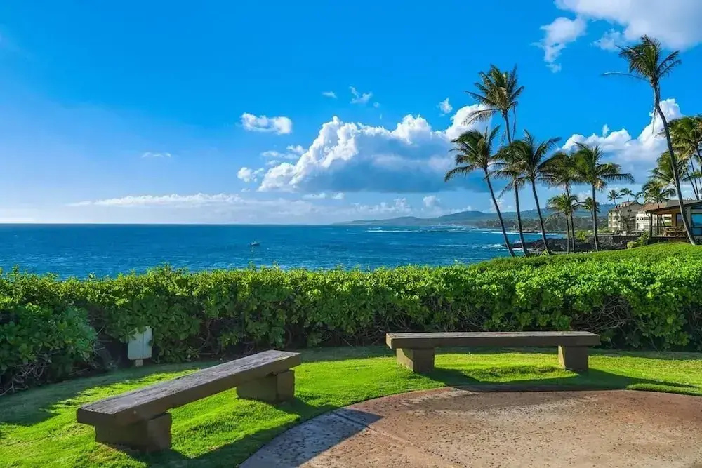 Beach & Waterfront