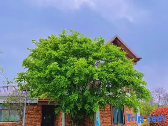 Oriental Garden Hotel