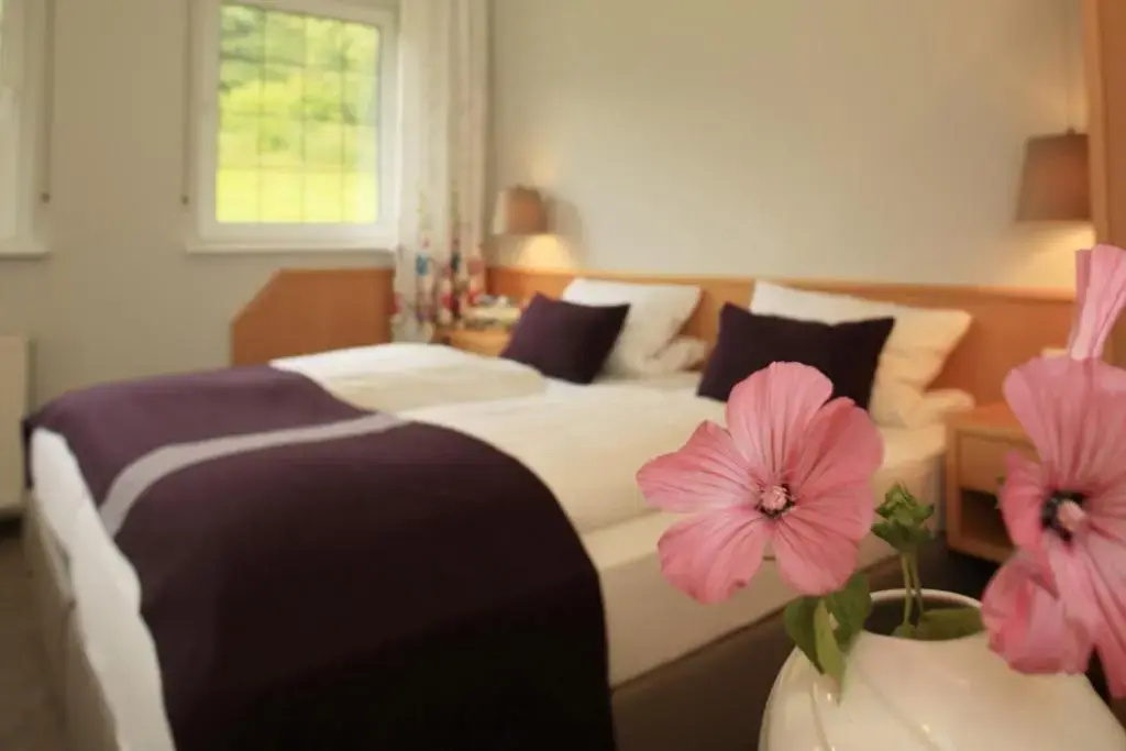 Landidyll Landaus Liesetal - Chambres