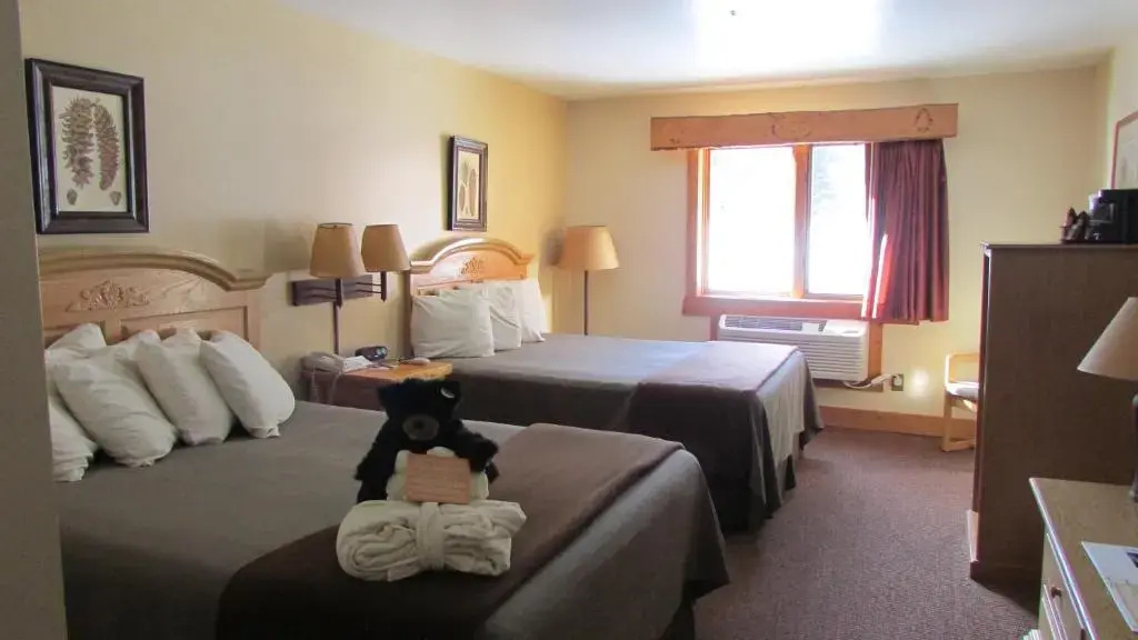 Standard Double room (full double bed)