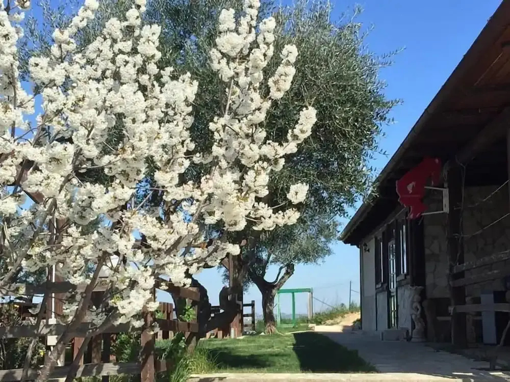 La Vecchia Fornace