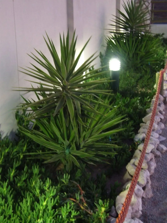 The Wacky Bush Lodge - фото 2