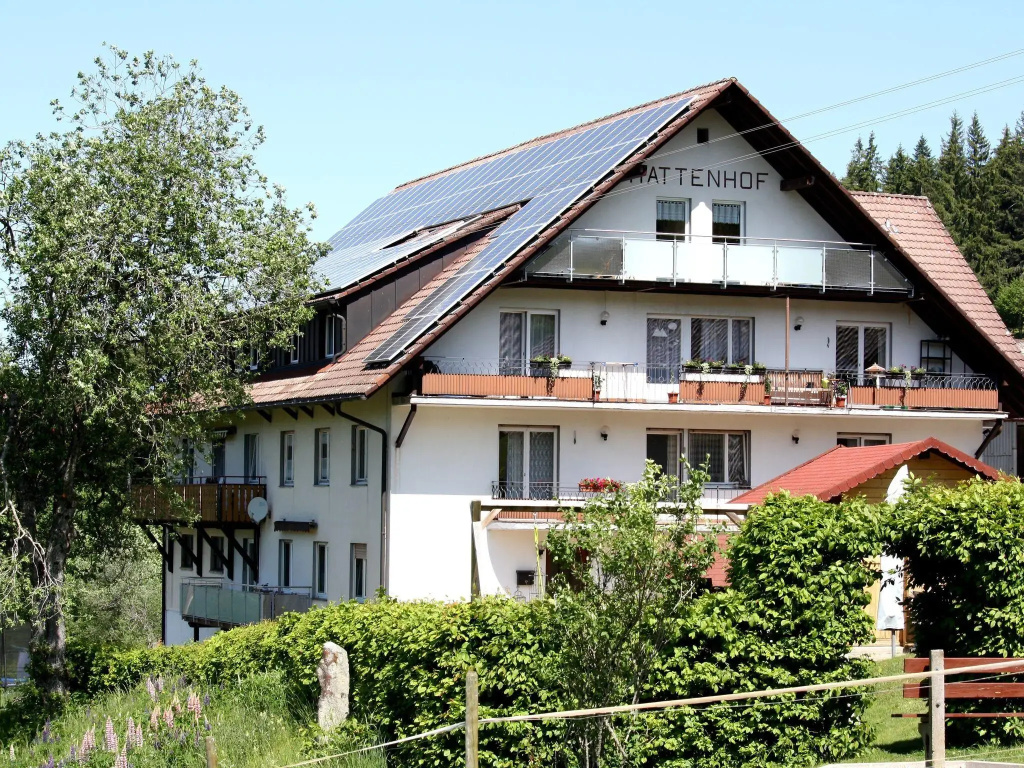 Spacious Apartment in Wehrhalden near Cross-country Skiing