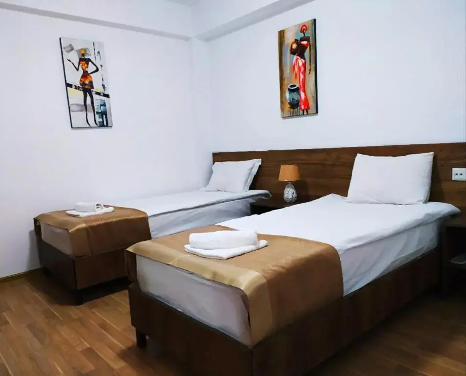 Standard Double room (twin beds)