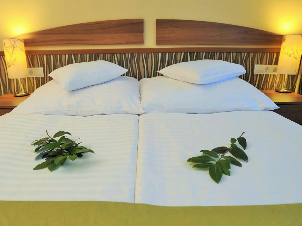 Park Hotel Gyula - Général