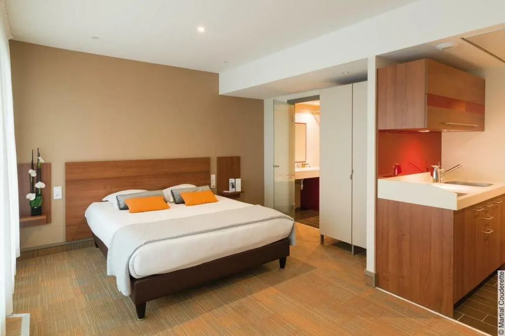 Hôtel Lyon Métropole & Spa - Général