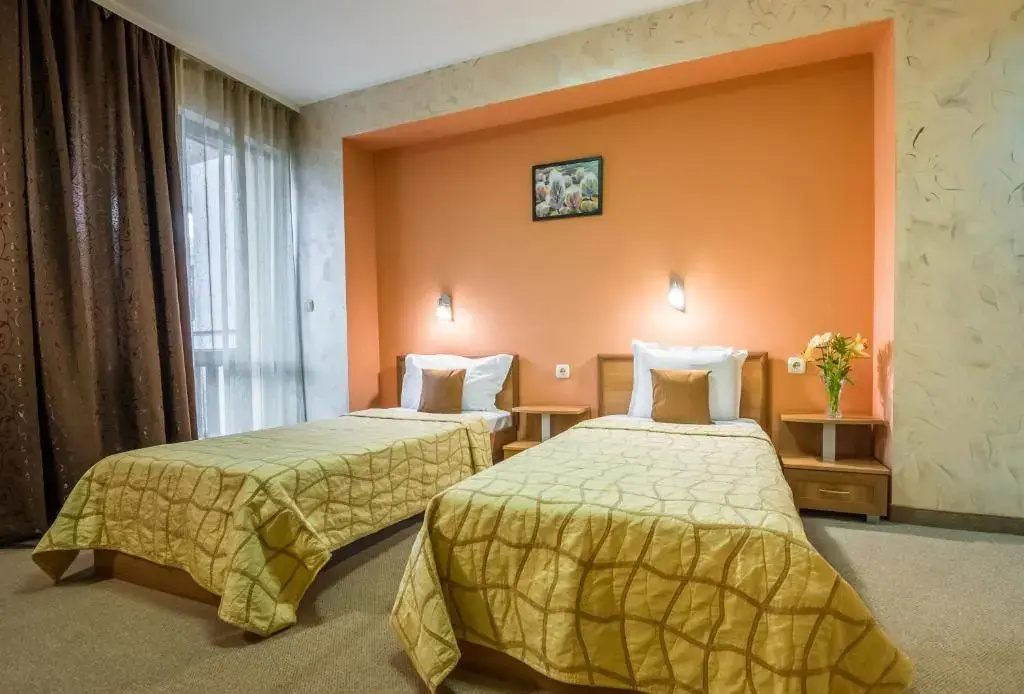 Standard Double room (full double bed)