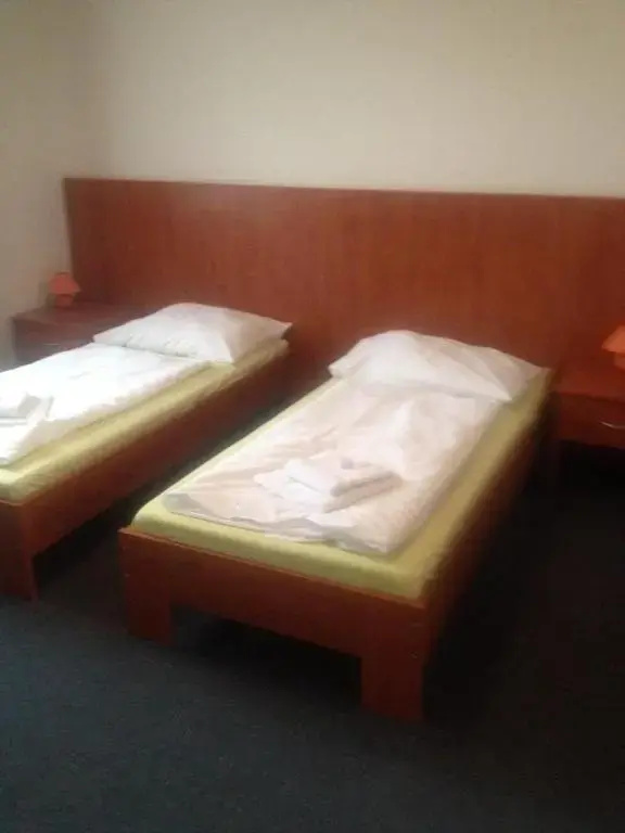 Hotel Ruzeny - Chambres