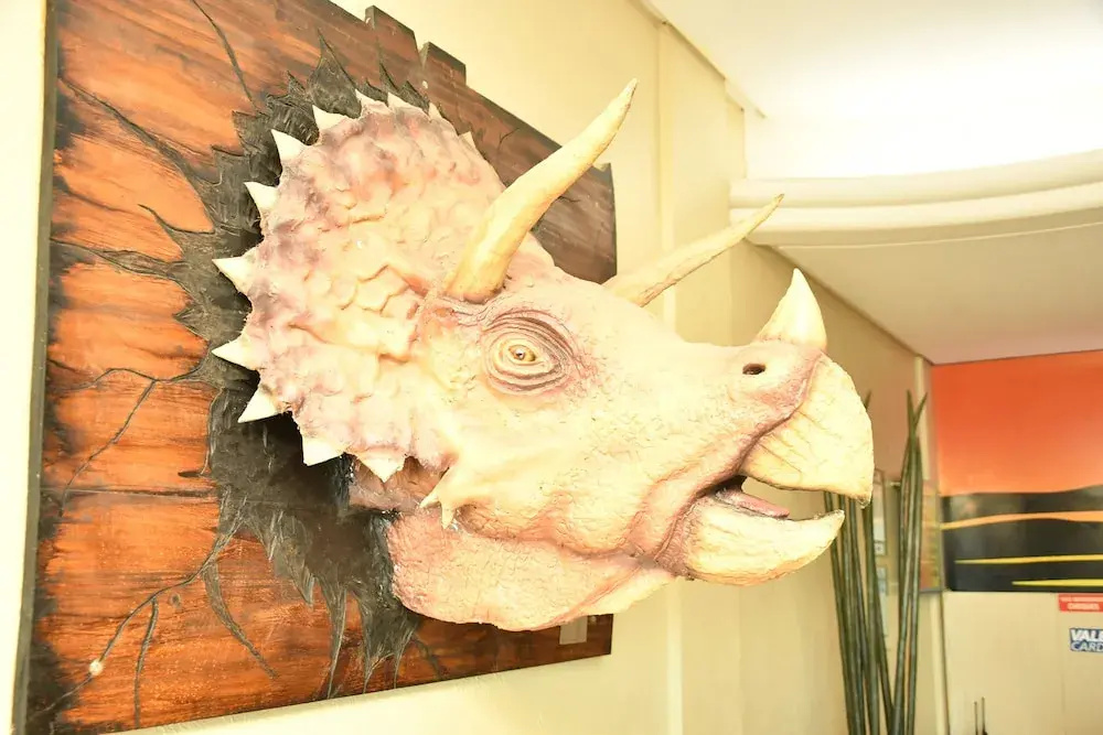 Hotel photo 12