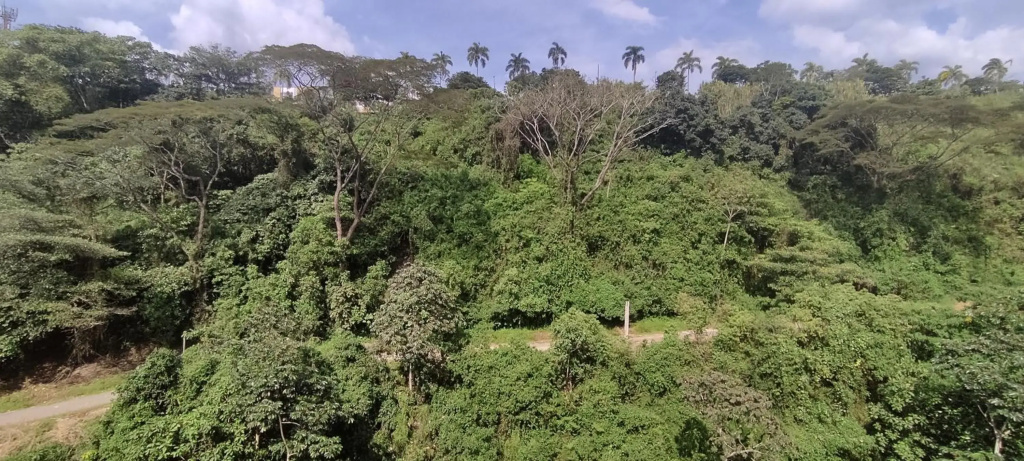 Hermoso, central y natural apartamento en Pereira