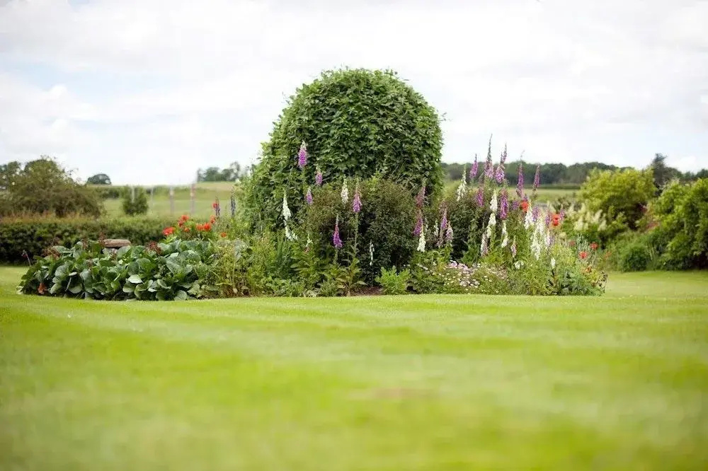 North Farm Bed And Breakfast