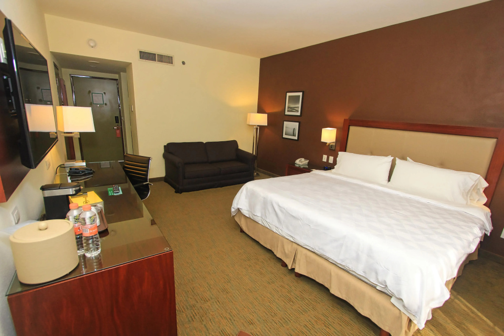 Holiday Inn Leon by IHG - Général