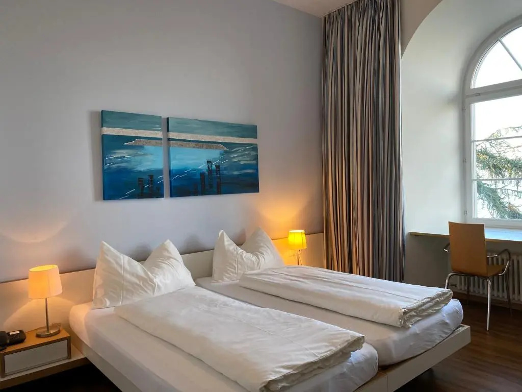 Standard Double room with lake view (full double bed)