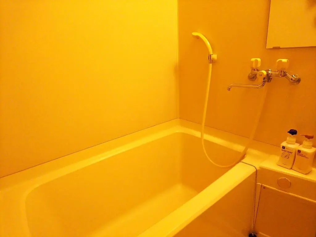 Tosaryu Onsen Sanyoso Ryokan - Chambres