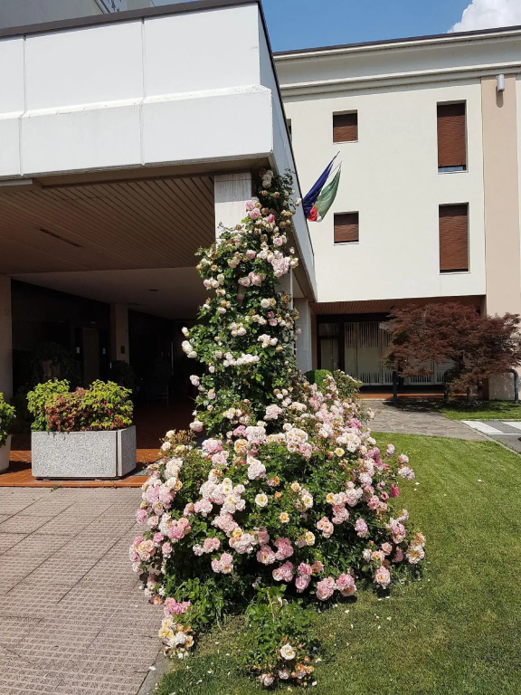 Hotel Continental Brescia - Général