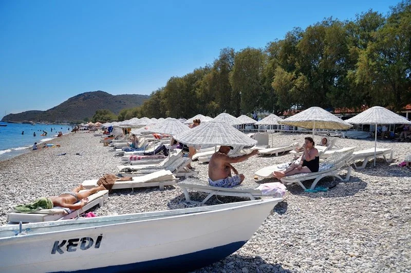 Beach & Waterfront