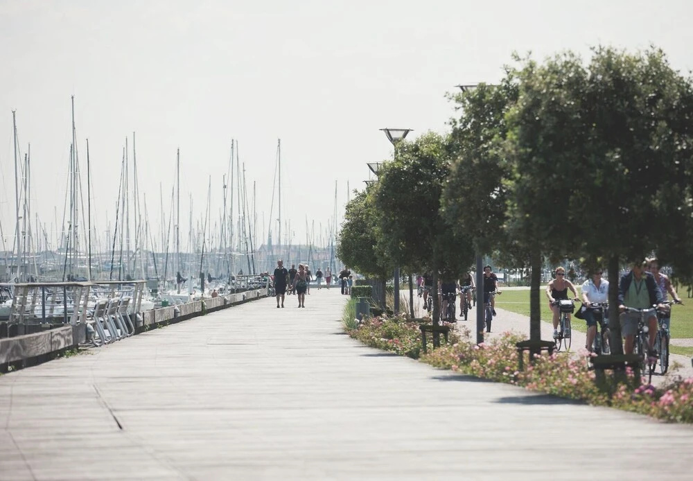 Beach & Waterfront