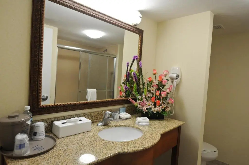 Hampton Inn by Hilton Queretaro Tecnologico - Chambres
