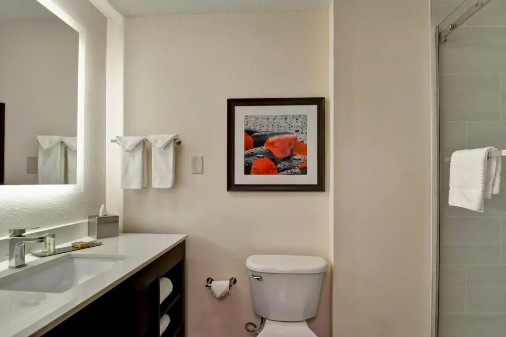 Doubletree by Hilton Hattiesburg, MS - Chambres