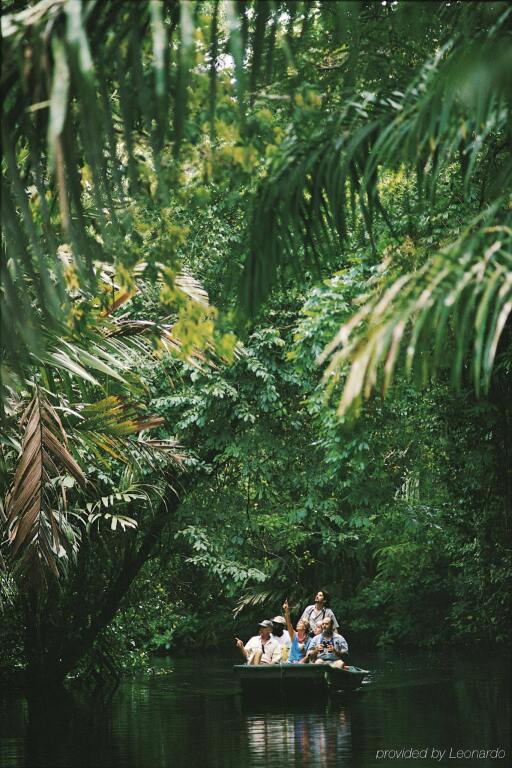 Tortuga Lodge & Gardens picture