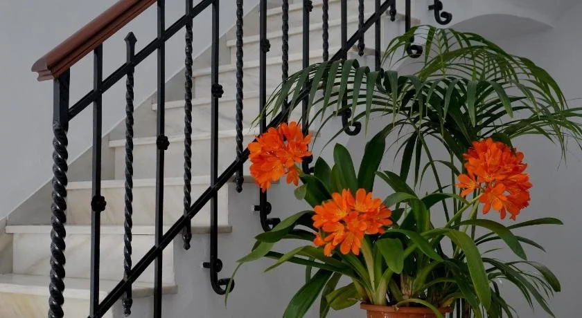 Fuentepiedra Casa Rural - Général