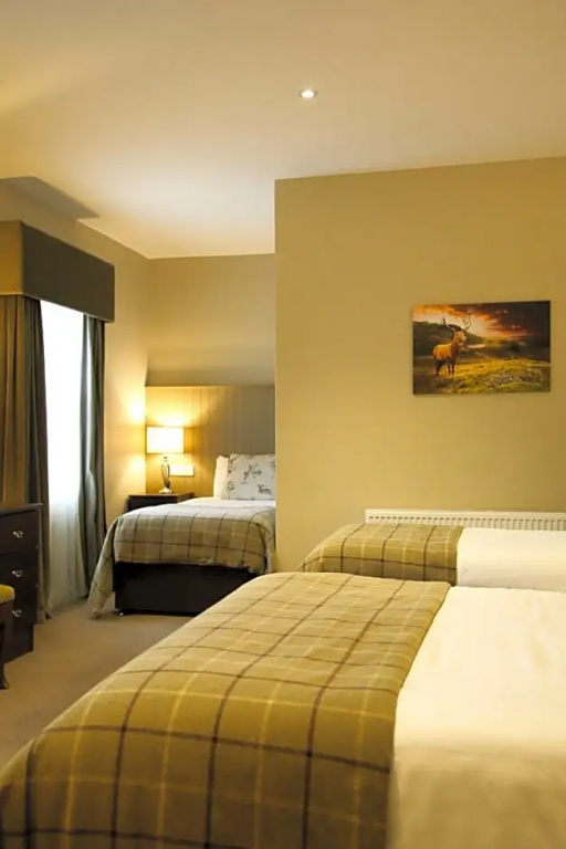 Mulroy Woods Hotel - Chambres