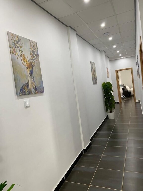 Image 12