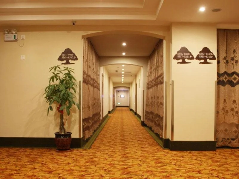 GreenTree Inn Shanghai Hongqiao Transport Hub Qibao Express Hotel - Général
