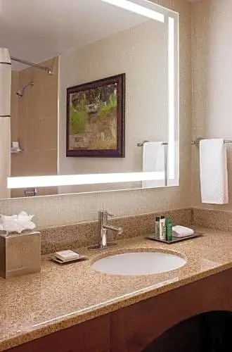 Hilton Houston Galleria Area - Chambres