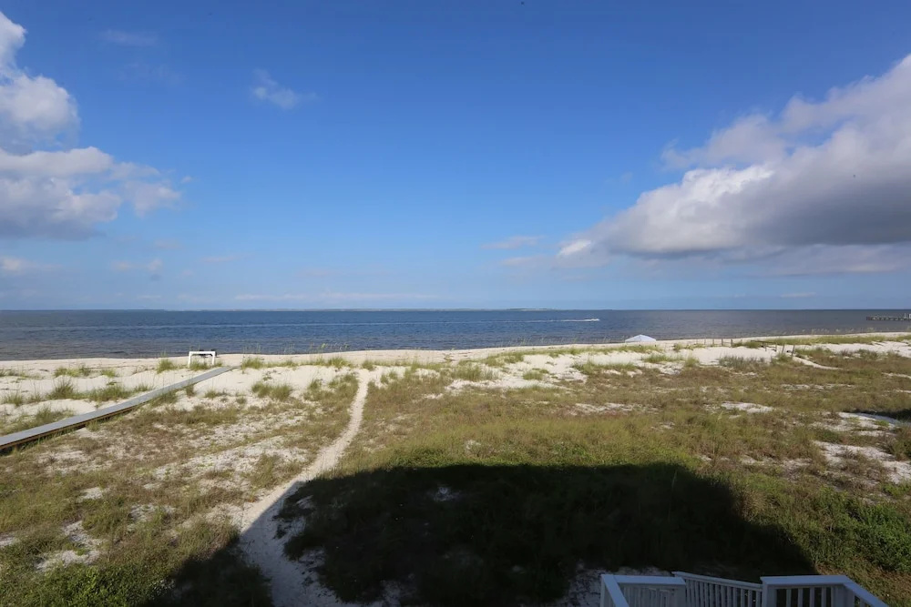 Flamingo Dunes