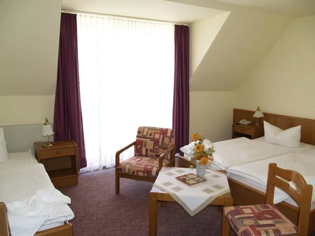 Hotel Pension Kirschstein - Général