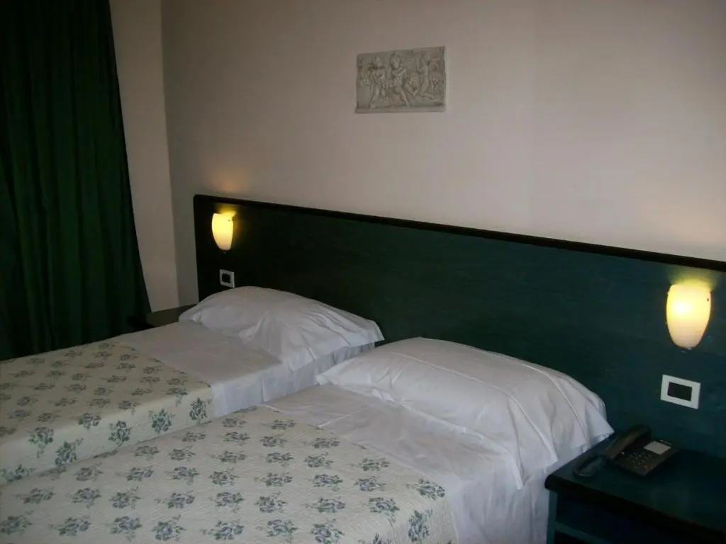 Standard Double room (twin beds)