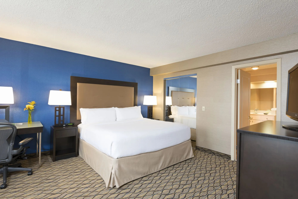 Holiday Inn Chicago - Elk Grove - Général