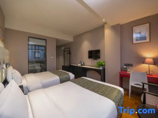 Deluxe Double room (twin beds)