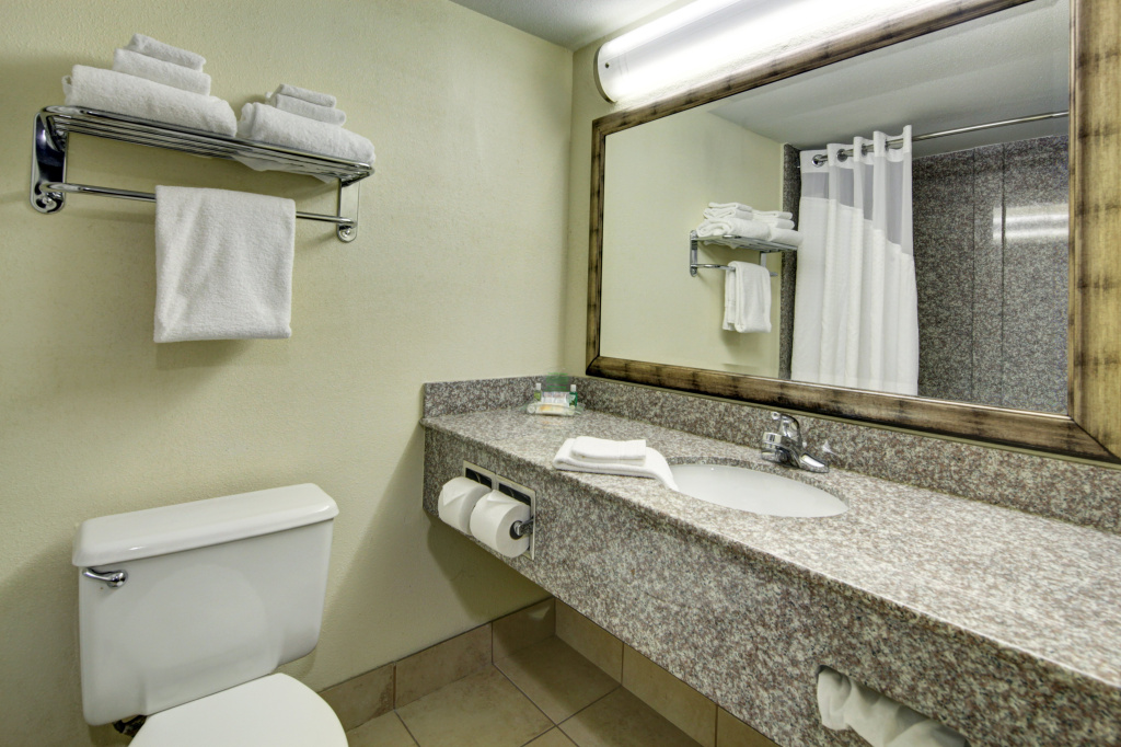 Holiday Inn Staunton Conference Center by IHG - Général