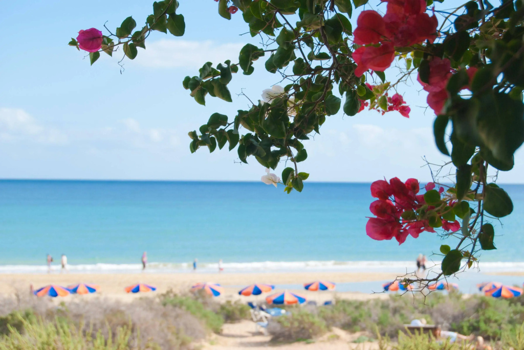 SBH Taro Beach Hotel - Général