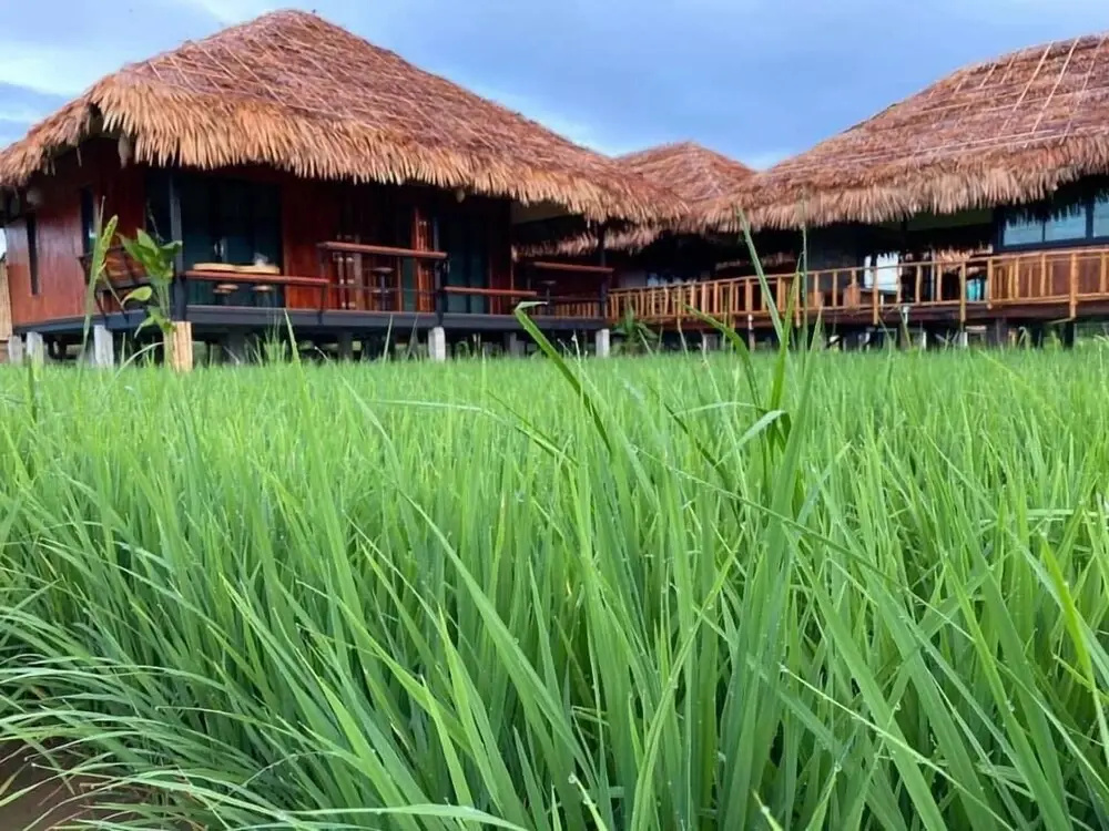 Lanna Homestay - фото 12