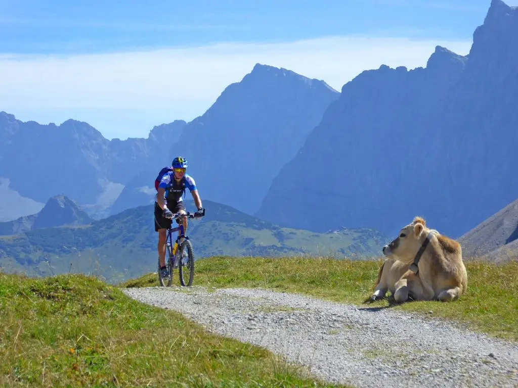 Alpenhof Krün - Général