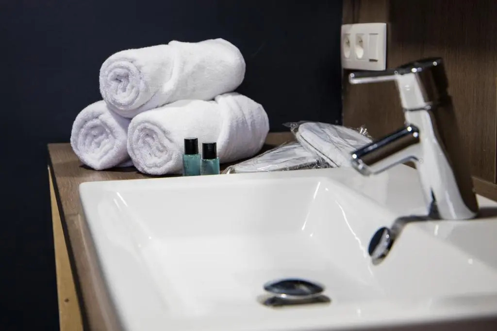 Deluxe Double room (twin beds)