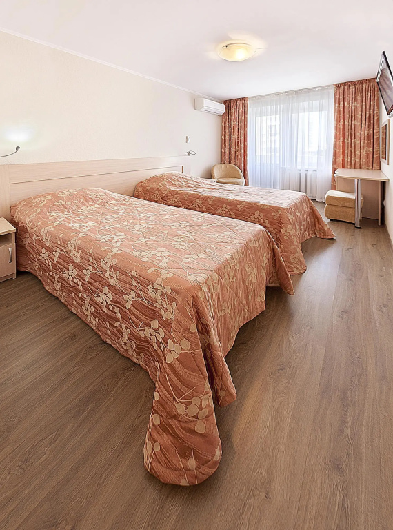 Standard Double room (full double bed)