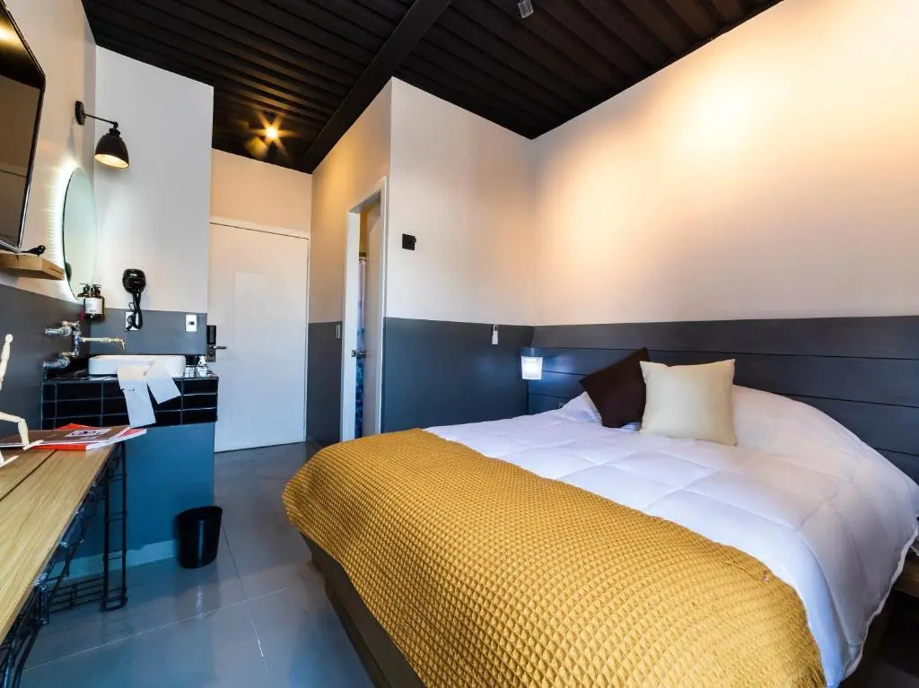 Standard Double room (full double bed)