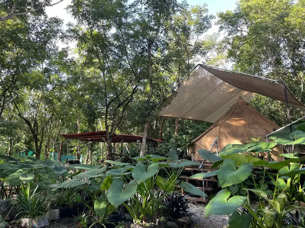 Tent