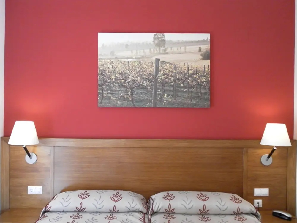 Hotel Milagros Rio Riaza - Chambres