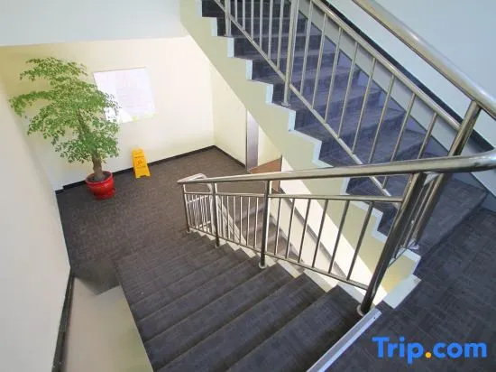 Balcony & Terrace