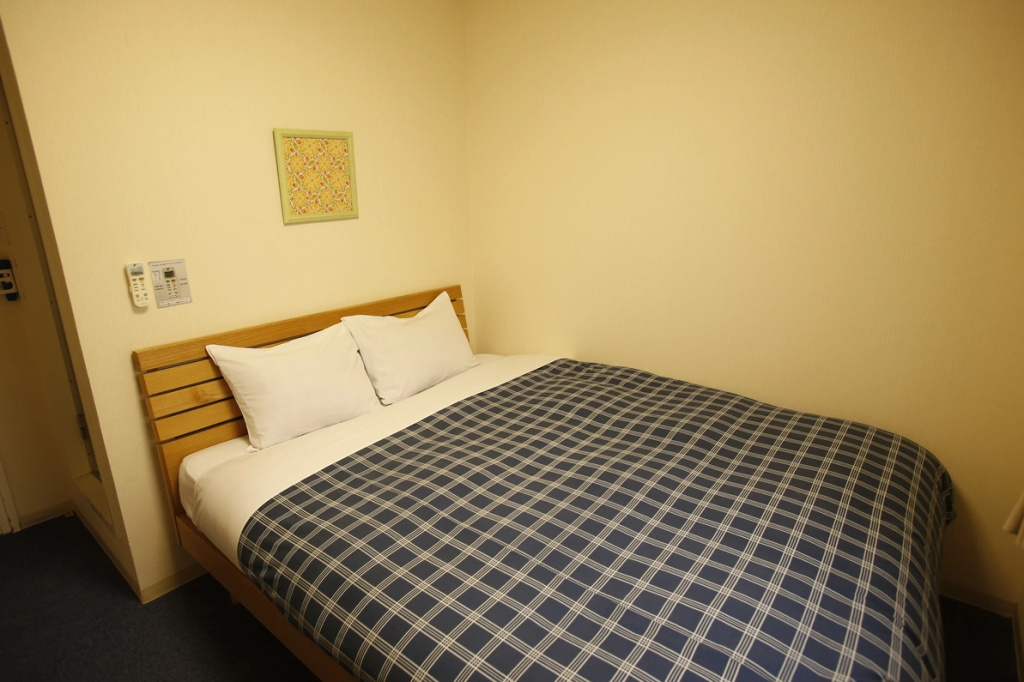 Standard Double room with city view (full double bed)