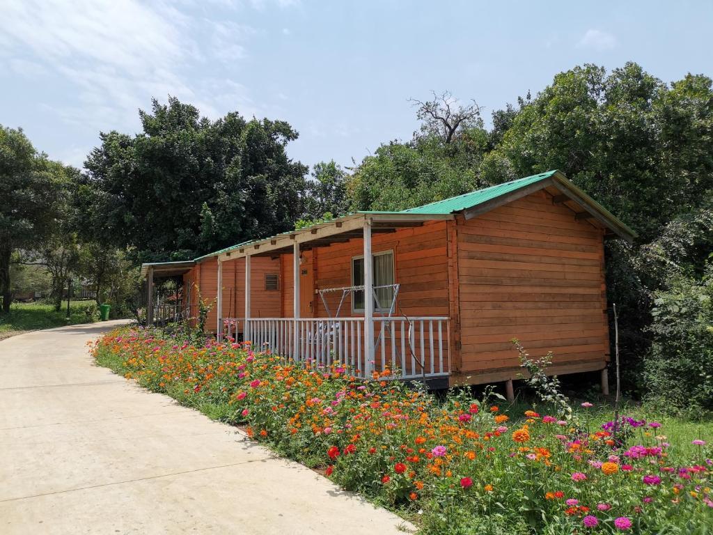 Mara Sopa Lodge by null