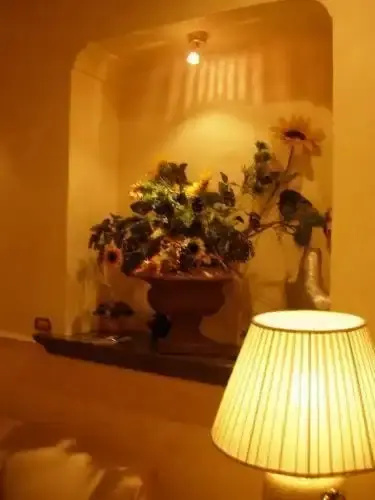 Hotel Lento - Général